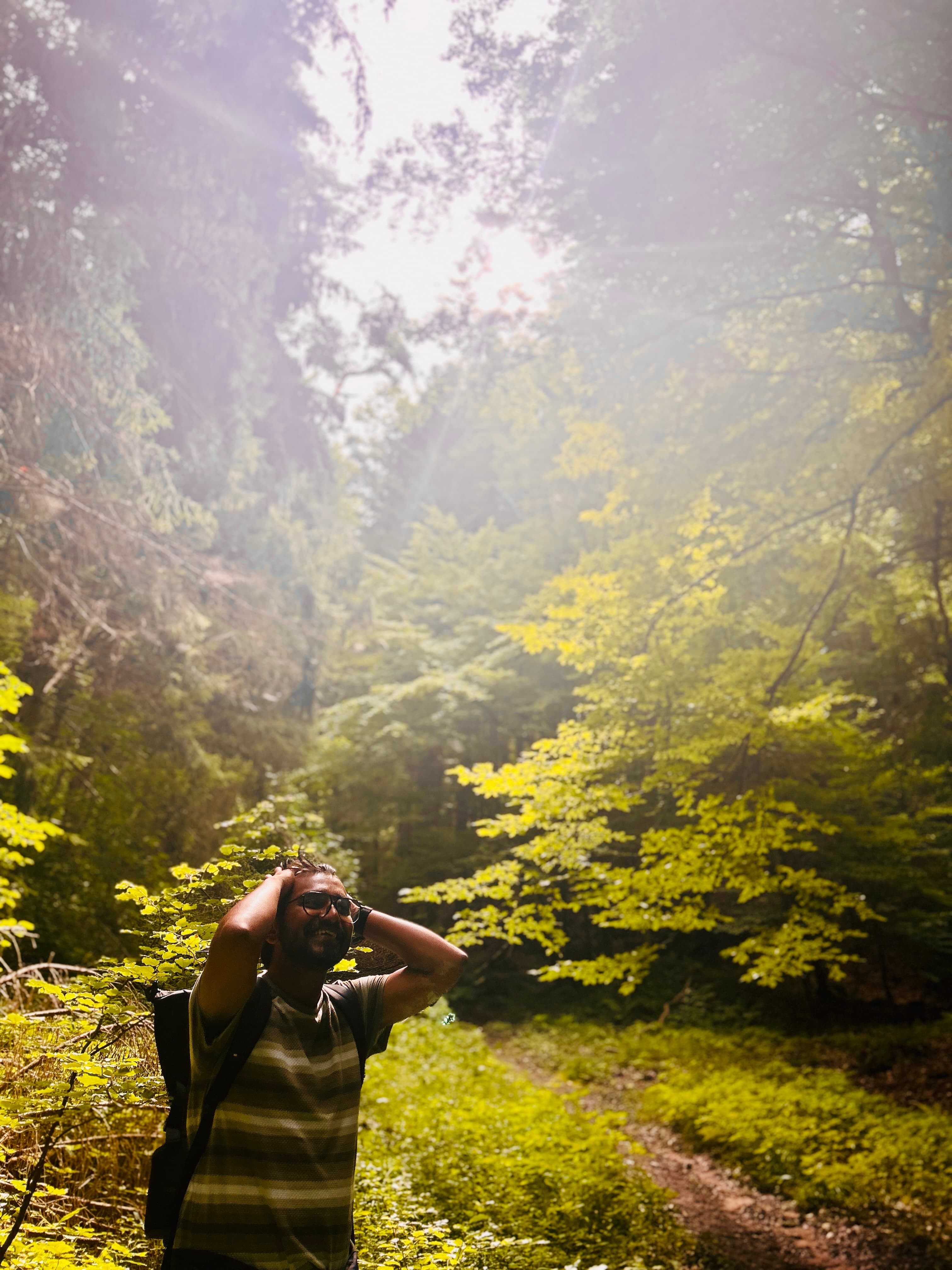 Hiking through a sunlit forest
